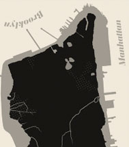 Manhattan as a Vascular Organ